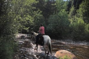 217492042_1832011583674718_4836781360410284196_n