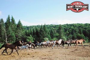 221838094_1851337988408744_1106473509406034341_n