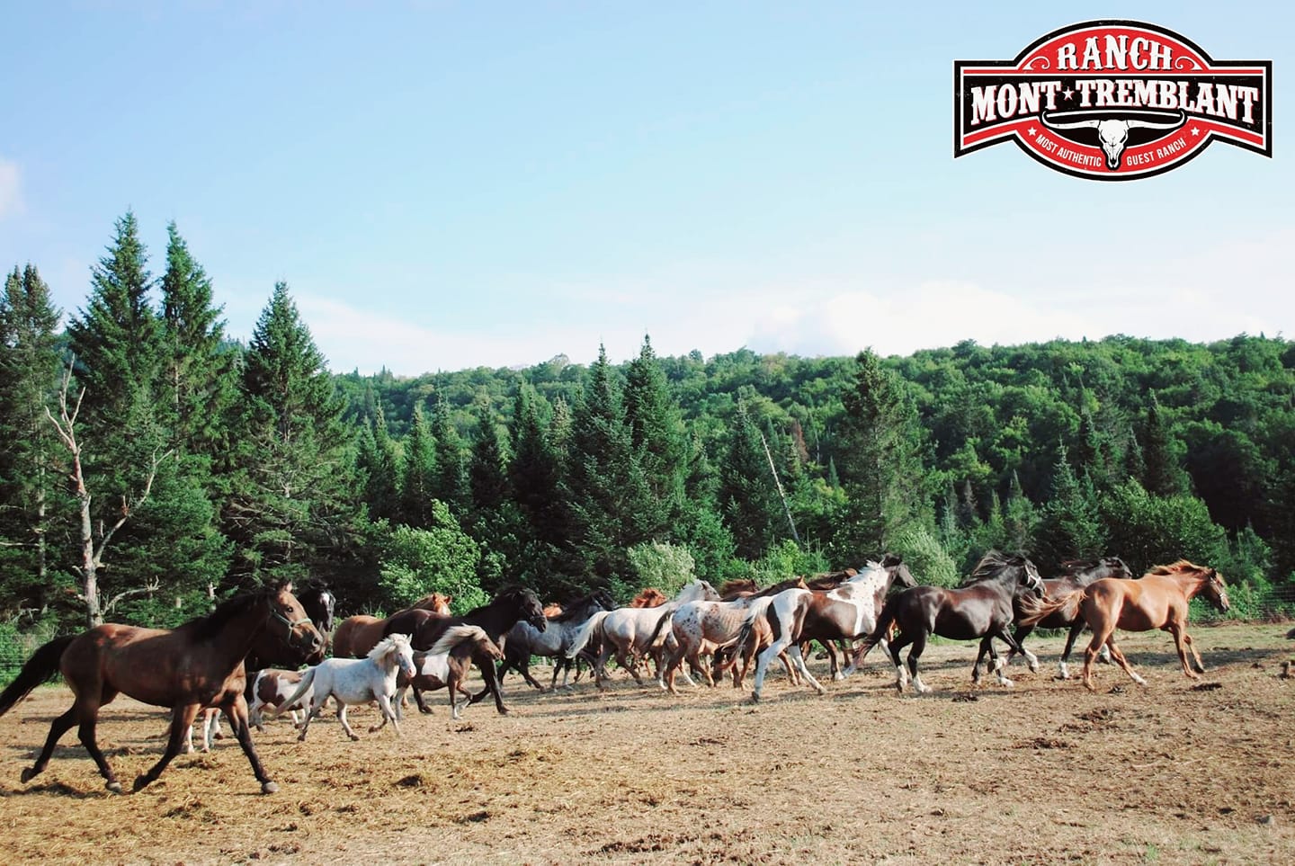 221838094_1851337988408744_1106473509406034341_n