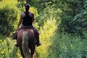 232814844_1850735901802286_5215983951520666078_n