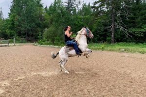 240281795_1861796304029579_4844359762982113578_n