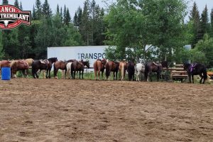 240907616_1867510663458143_5002742425911551357_n